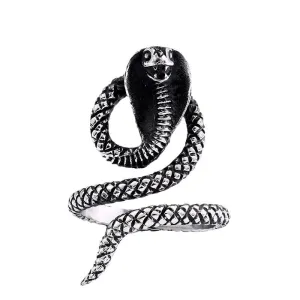 Customizable Titanium Steel Snake Ring for Men - European and American Style Open Jewelry